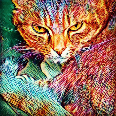 Colors Cat artistic version